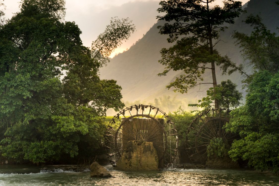 Sendero en un jardín frondoso, símbolo del Jardín de las Investigaciones