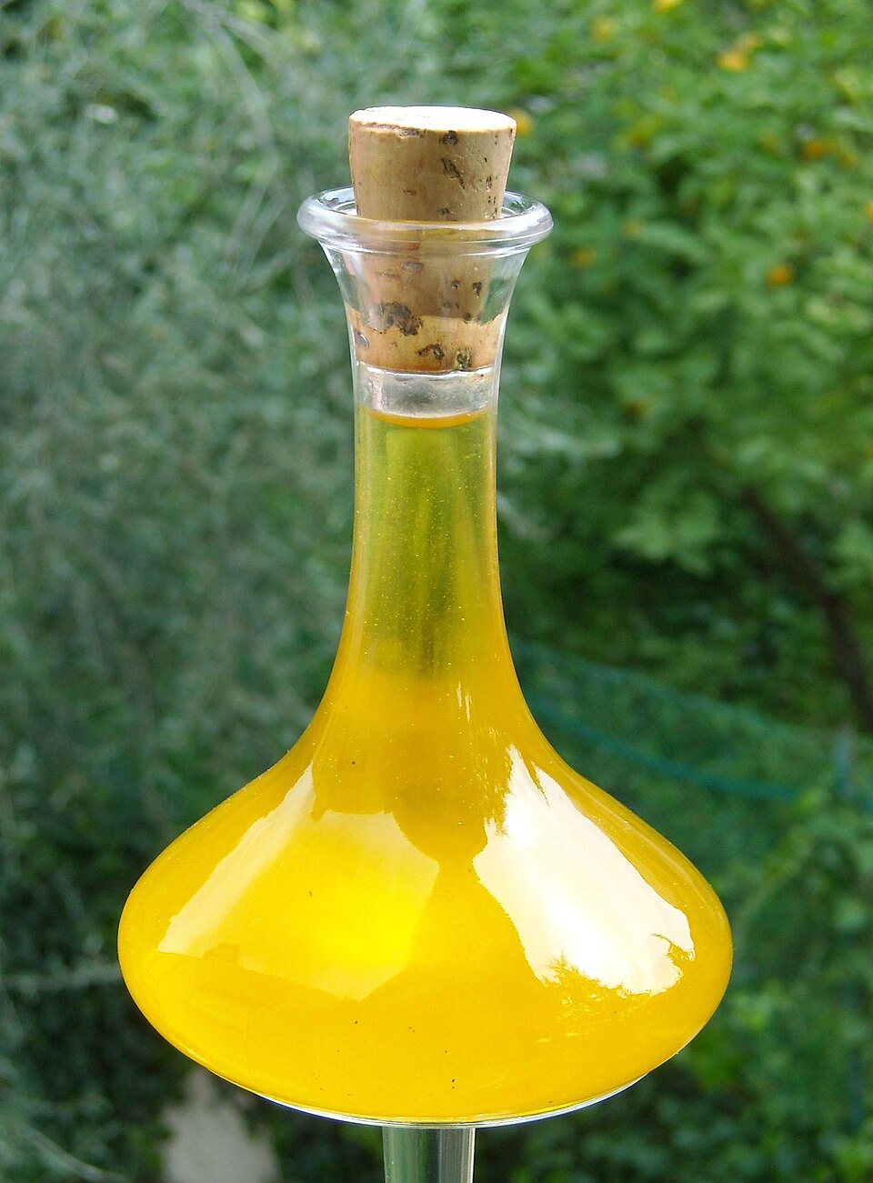 Botella de aceite de oliva, símbolo del fraude masivo del aceite de colza que envenenó a 20.000 personas en España en 1981